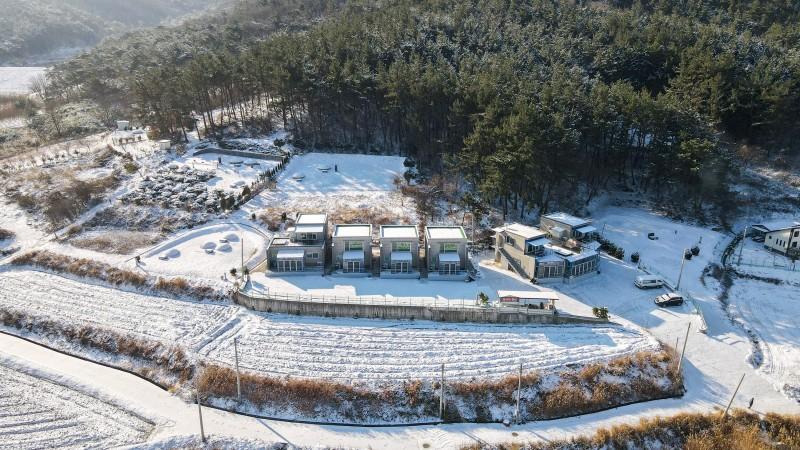 대표 사진