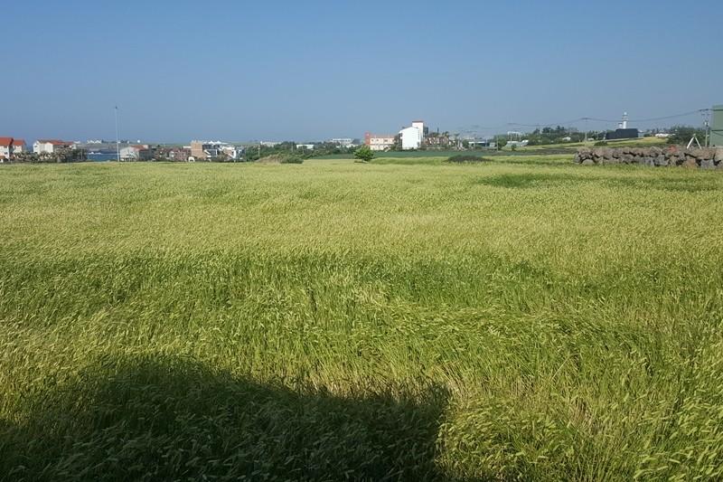 숙소 시설
