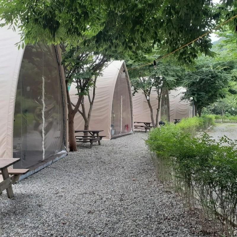 대표 사진