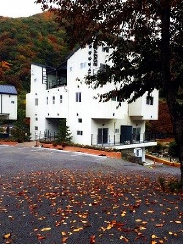 대표 사진