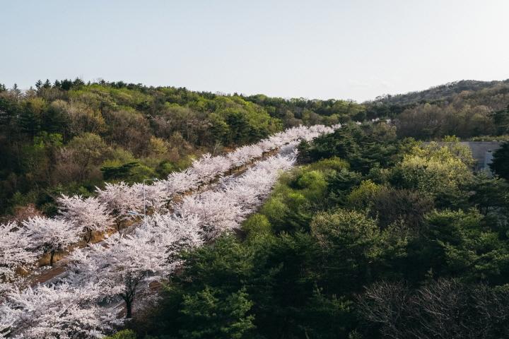 대표 사진