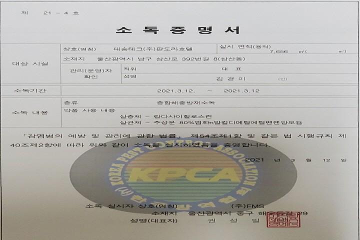 대표 사진
