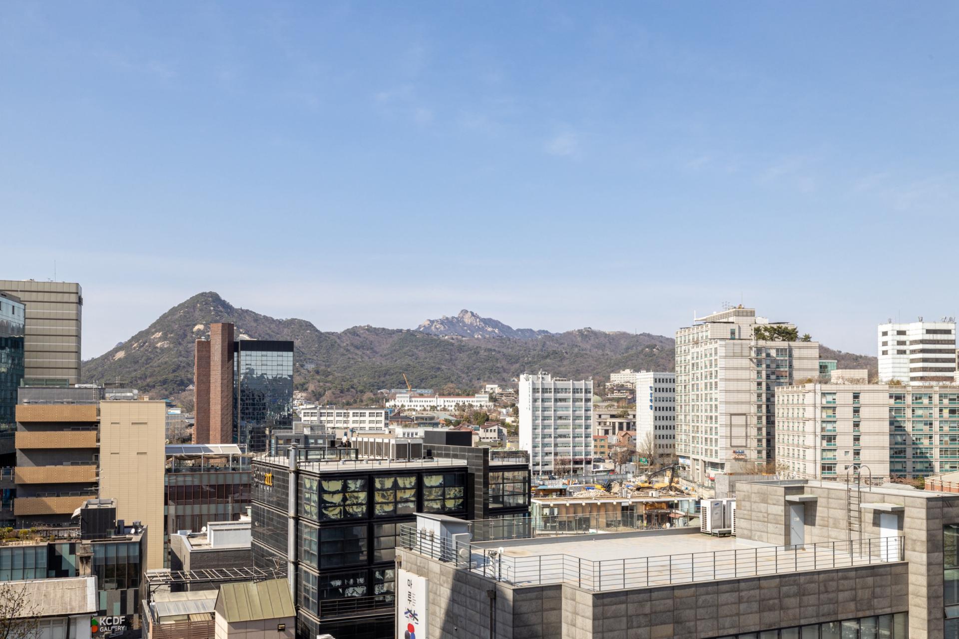대표 사진