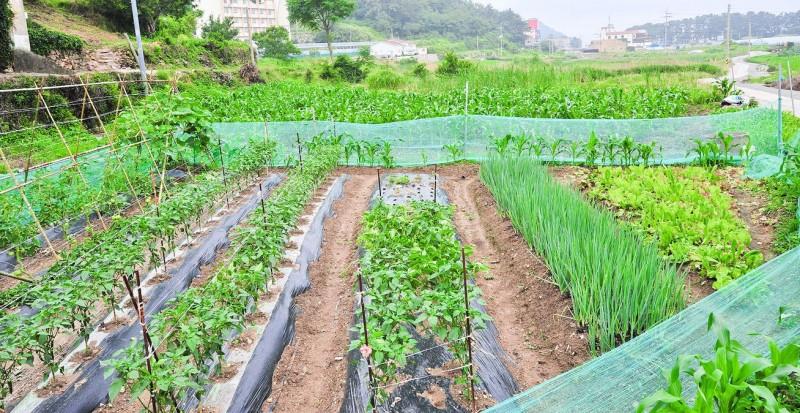 숙소 시설