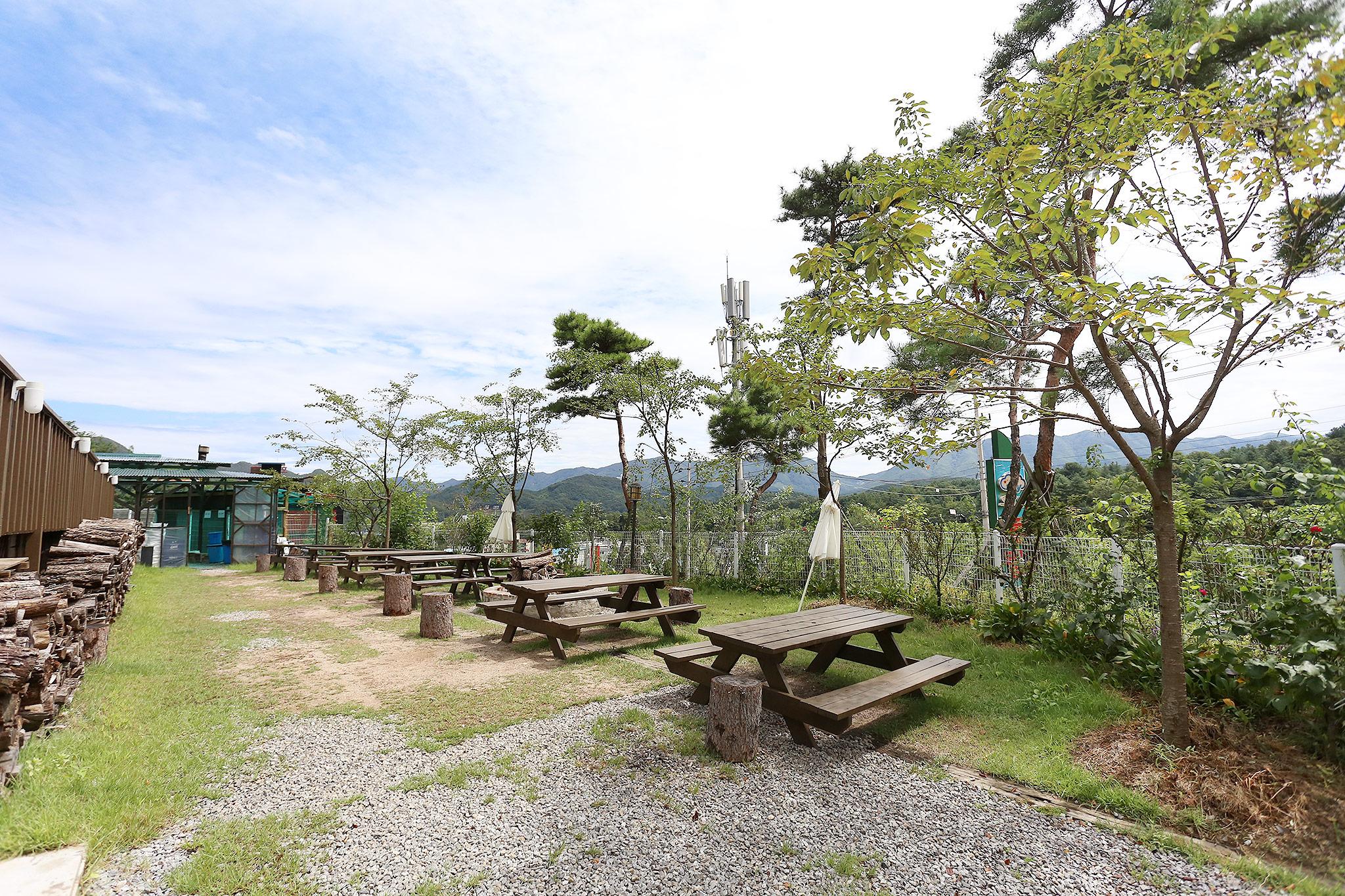 Gapyeong Seorak Sky Hotel-15