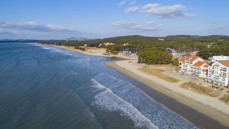 Taean (Anmyeondo) Palm Beach Pension