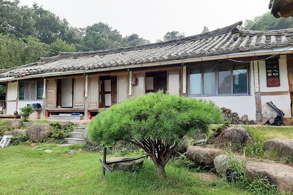 대표 사진
