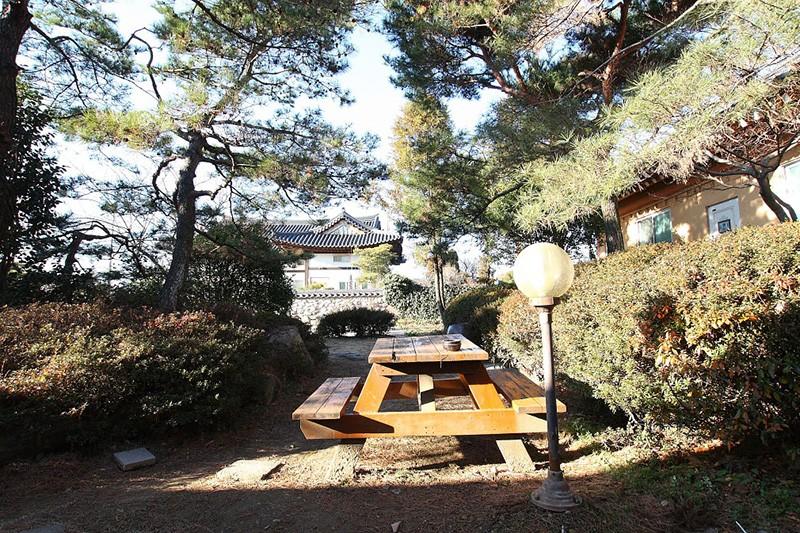 대표 사진