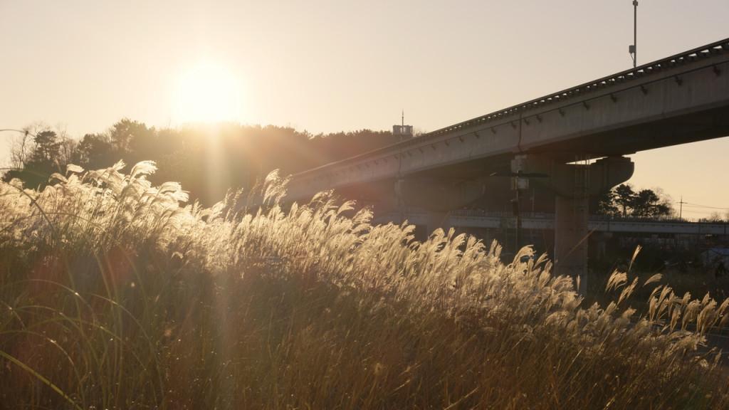 Nest Hotel Incheon-62
