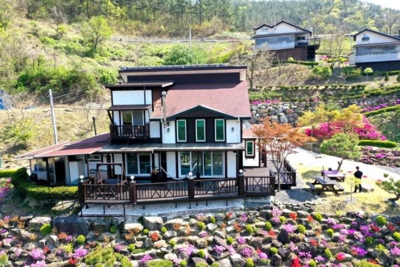 대표 사진