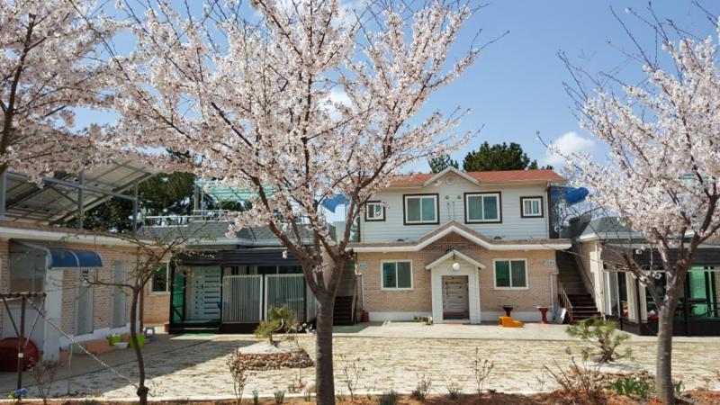Seocheon Badahyanggi Pension
