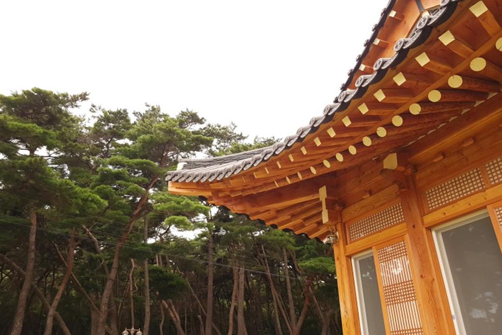 대표 사진