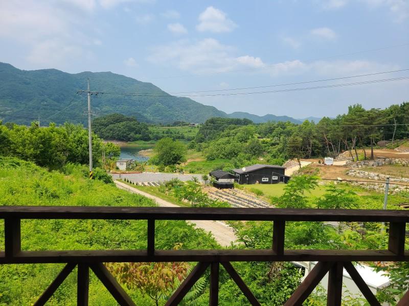 대표 사진