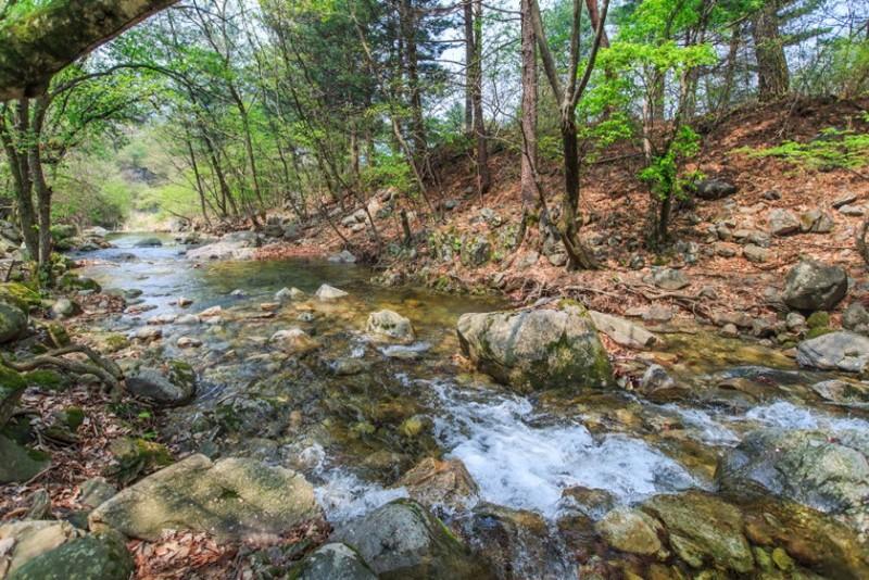 Yangpyeong Boseoksangja Pension-42