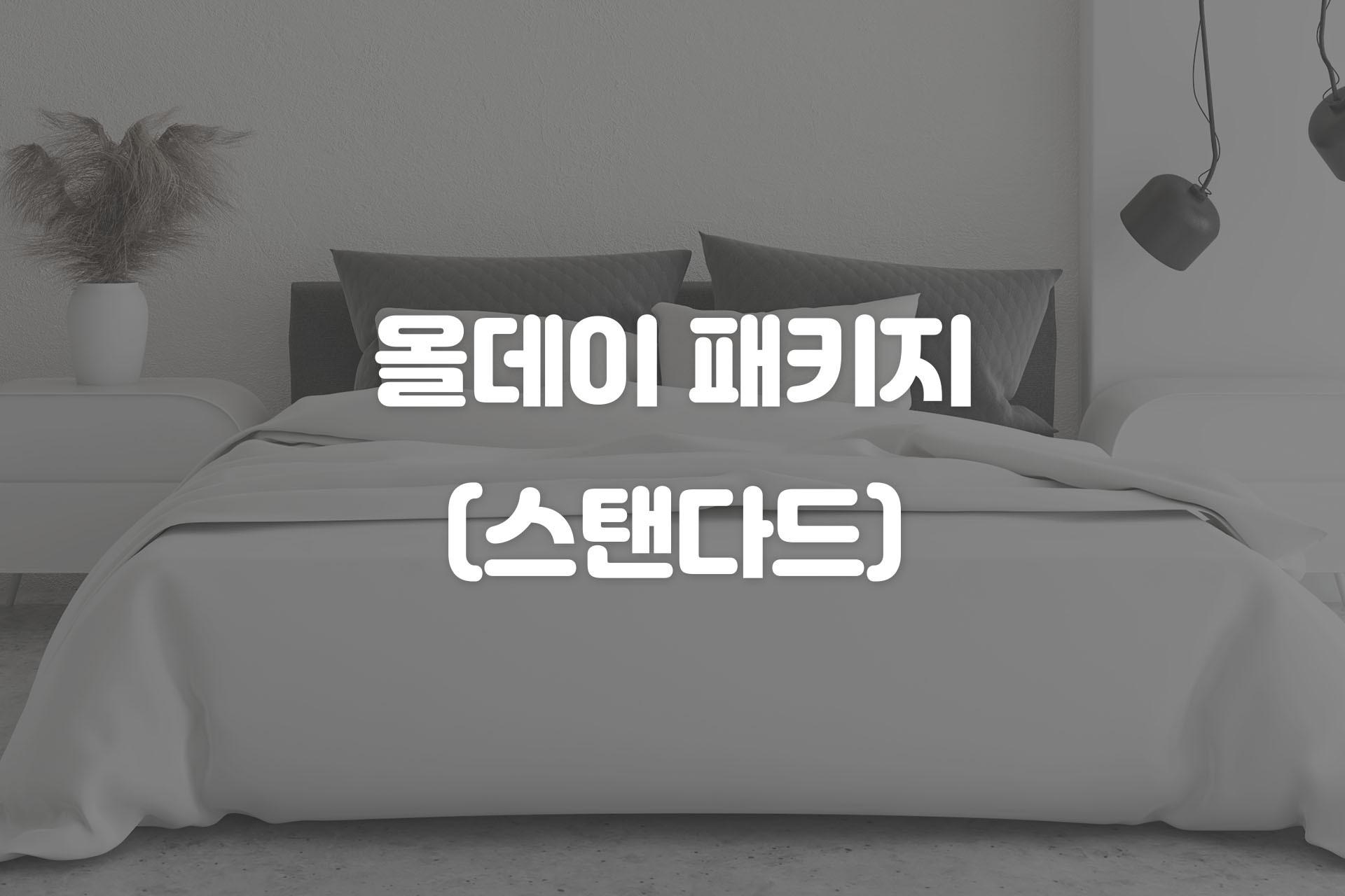 스탠다드 올데이 패키지