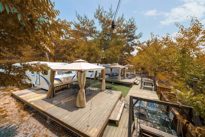 Pocheon Pine Tree Glamping Poolvilla-29