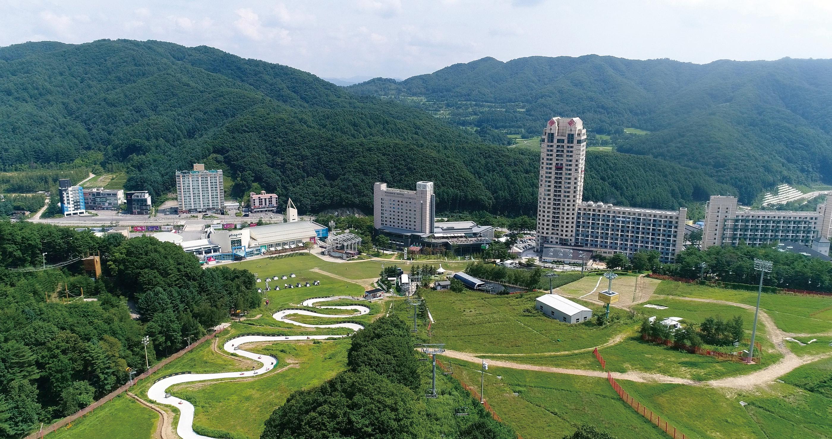 대표 사진