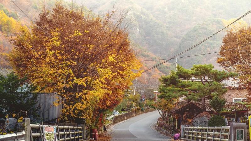 숙소 시설