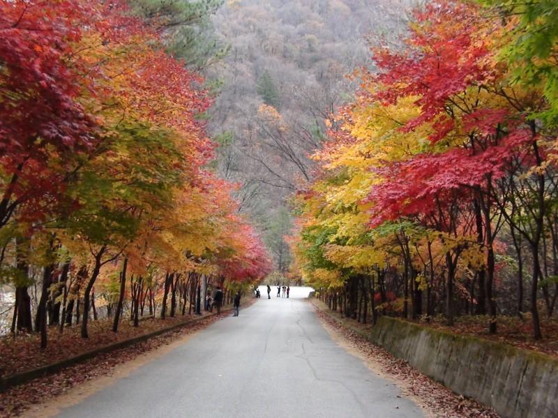 숙소 시설