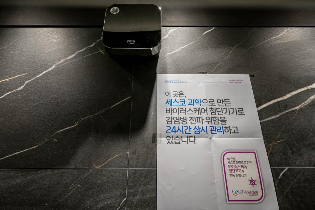 대표 사진