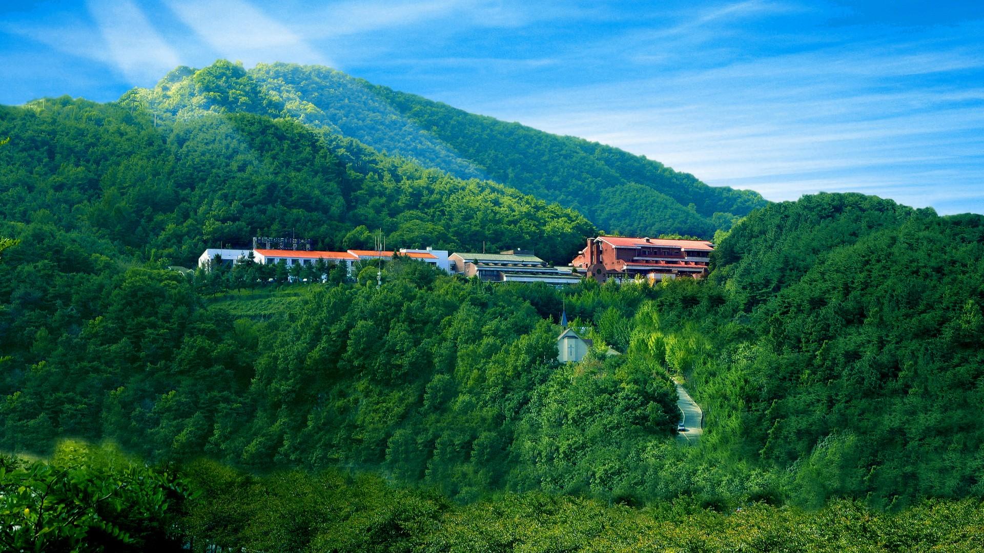 전경