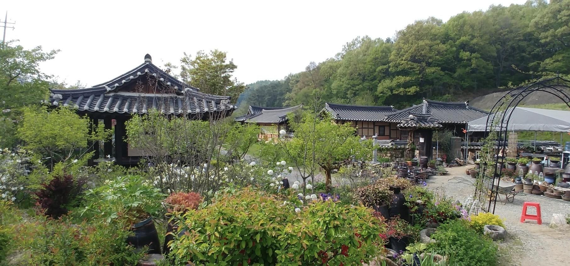 Chungju Real flowers and Taeknadeuli Pension-3