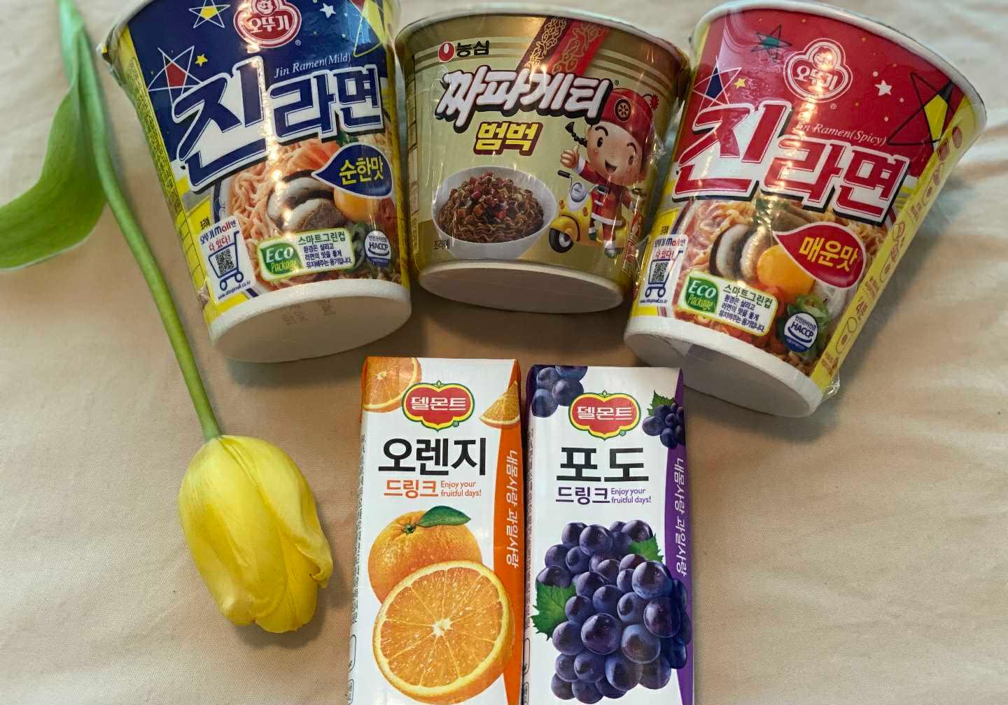 기타
