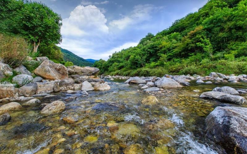 Gapyeong Green Bee Pension-14