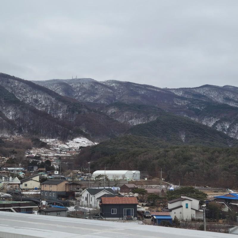 대표 사진