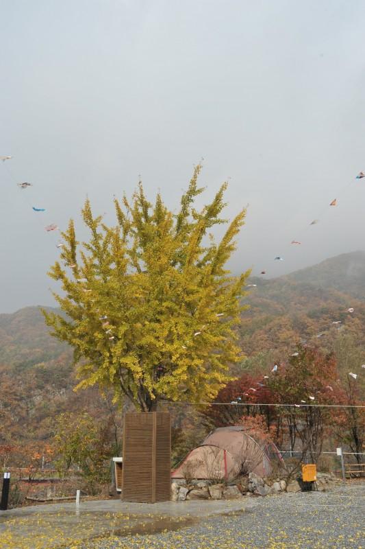 숙소 시설