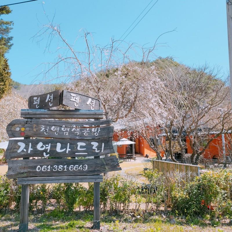 대표 사진