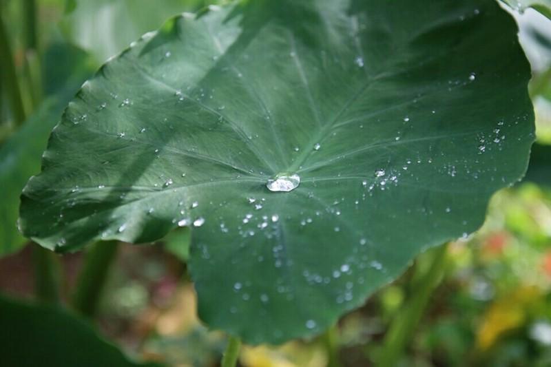 Yangpyeong Ggaruru Pension-34