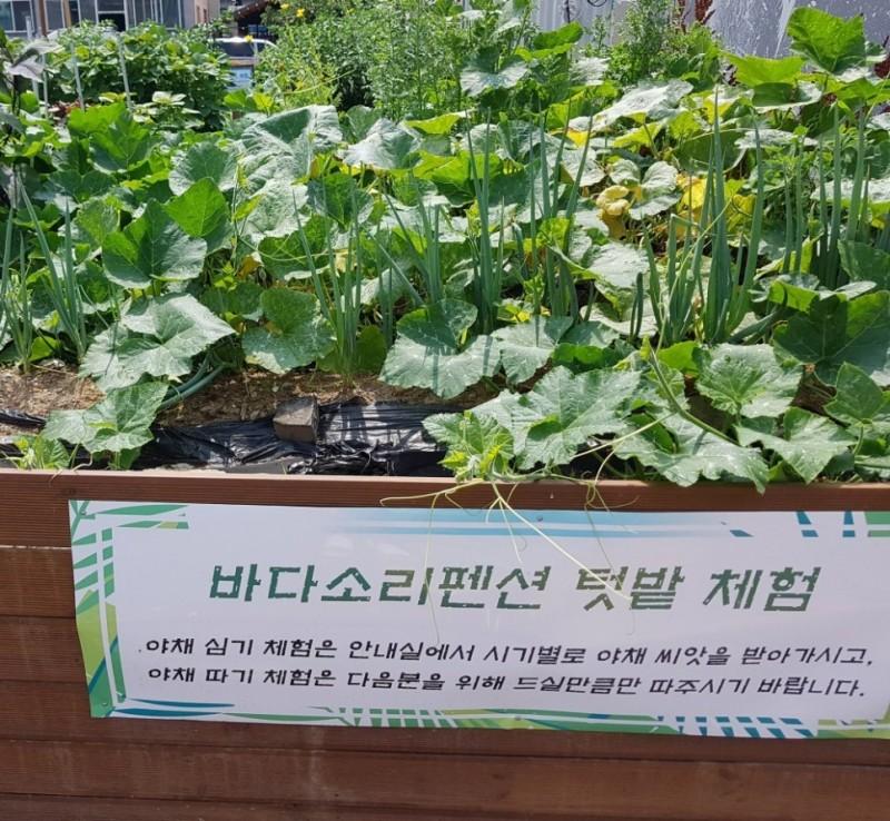 대표 사진
