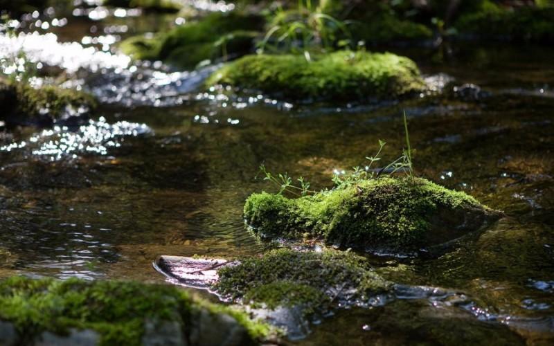 Gapyeong Green Bee Pension-9