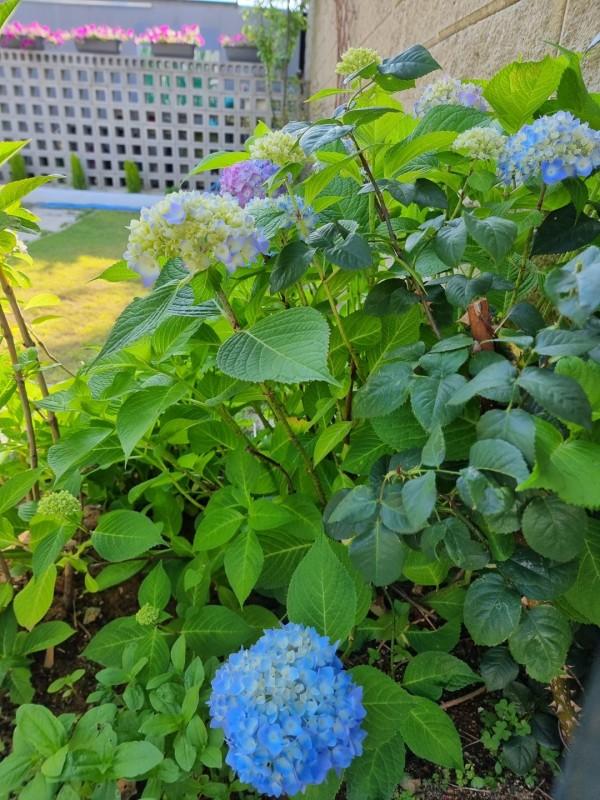 숙소 시설