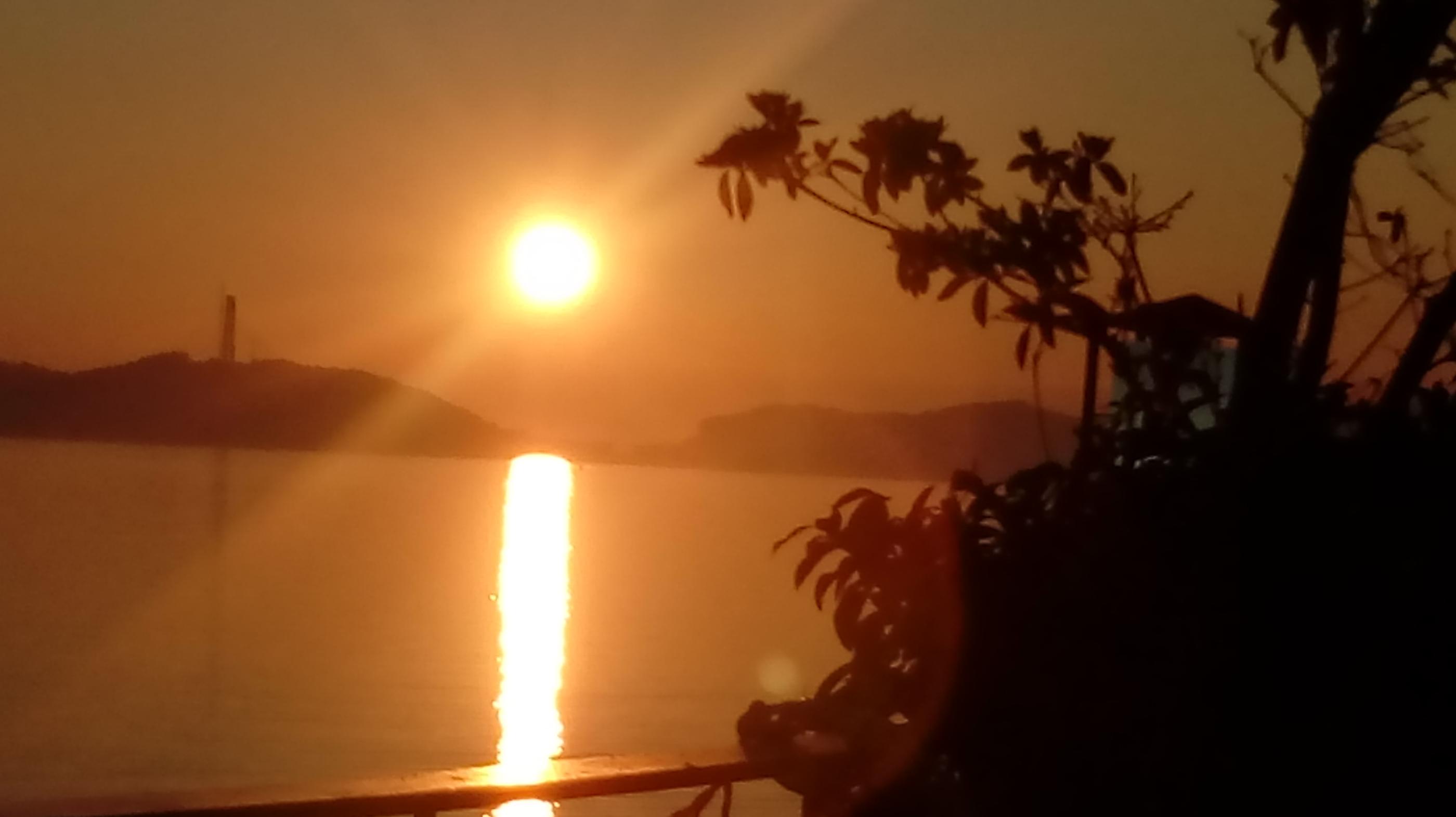 대표 사진