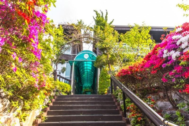 Ganghwado Green Star Pension-45