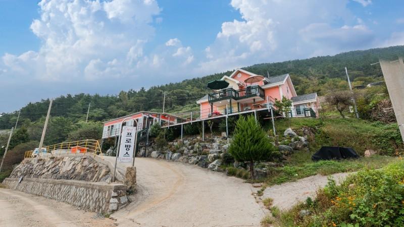 대표 사진