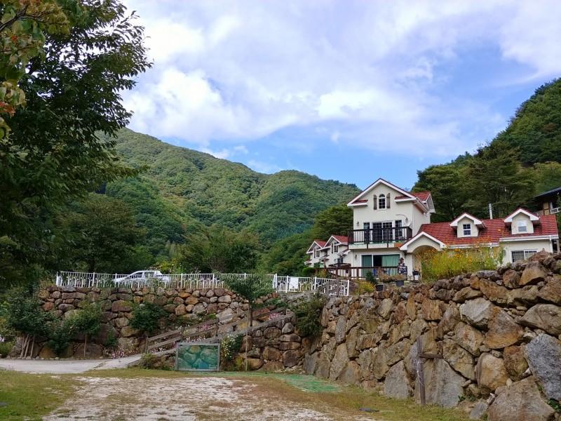대표 사진