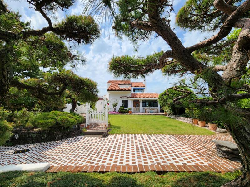 Seogwipo Palm Tree Villa Pension