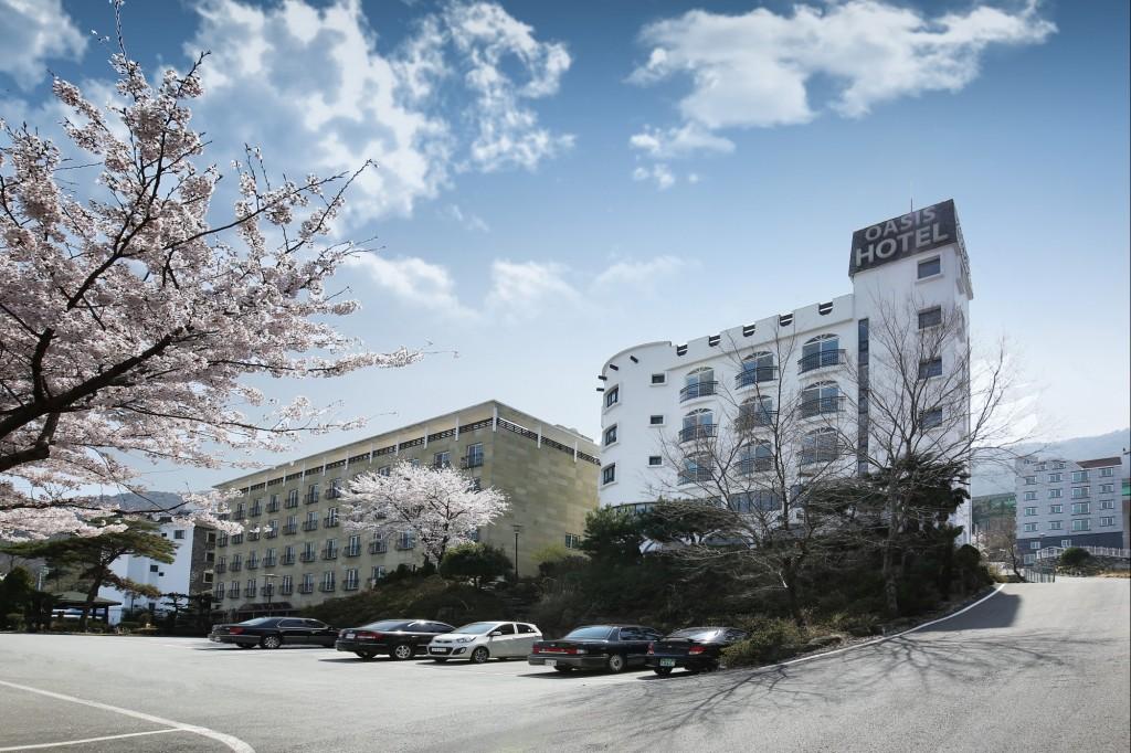대표 사진