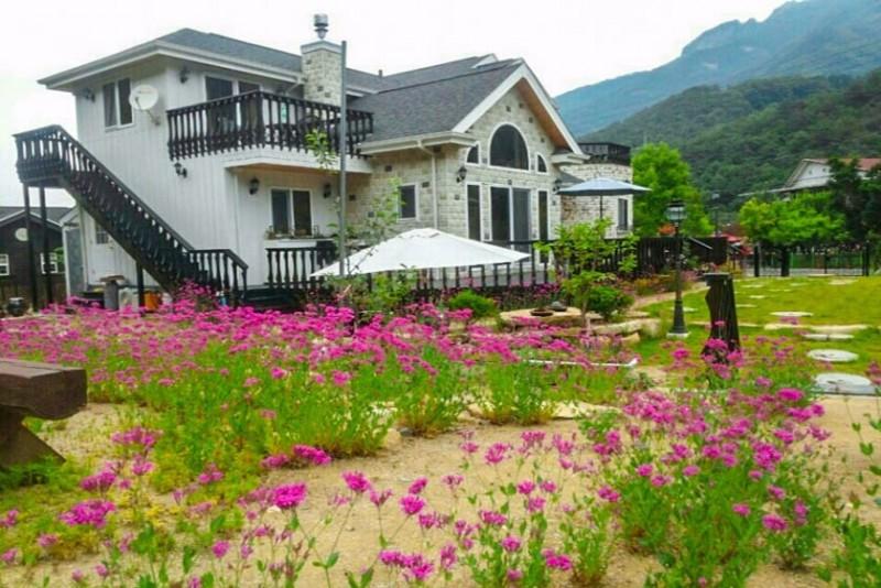 대표 사진