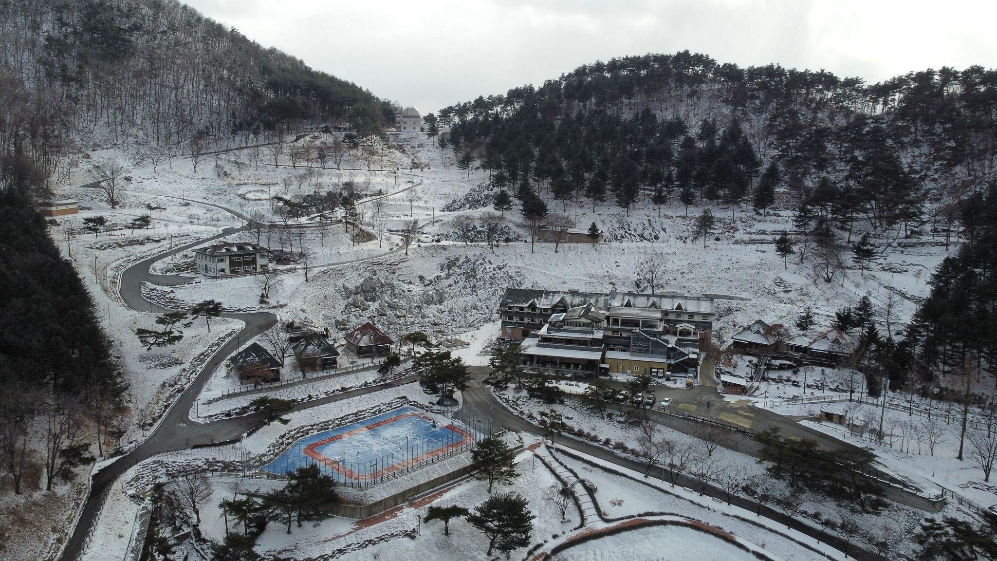 대표 사진