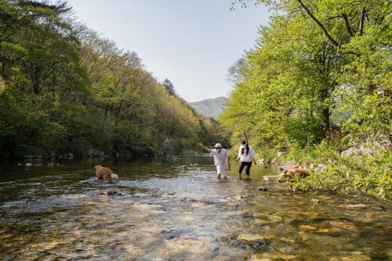 숙소 시설