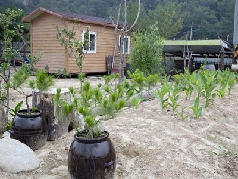 Pocheon Pajugol Tosokchon Pension-31