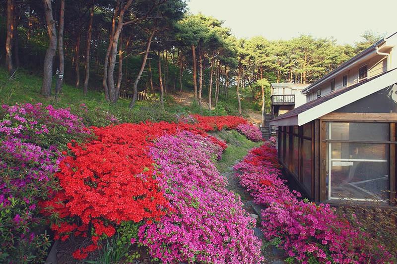 숙소 시설