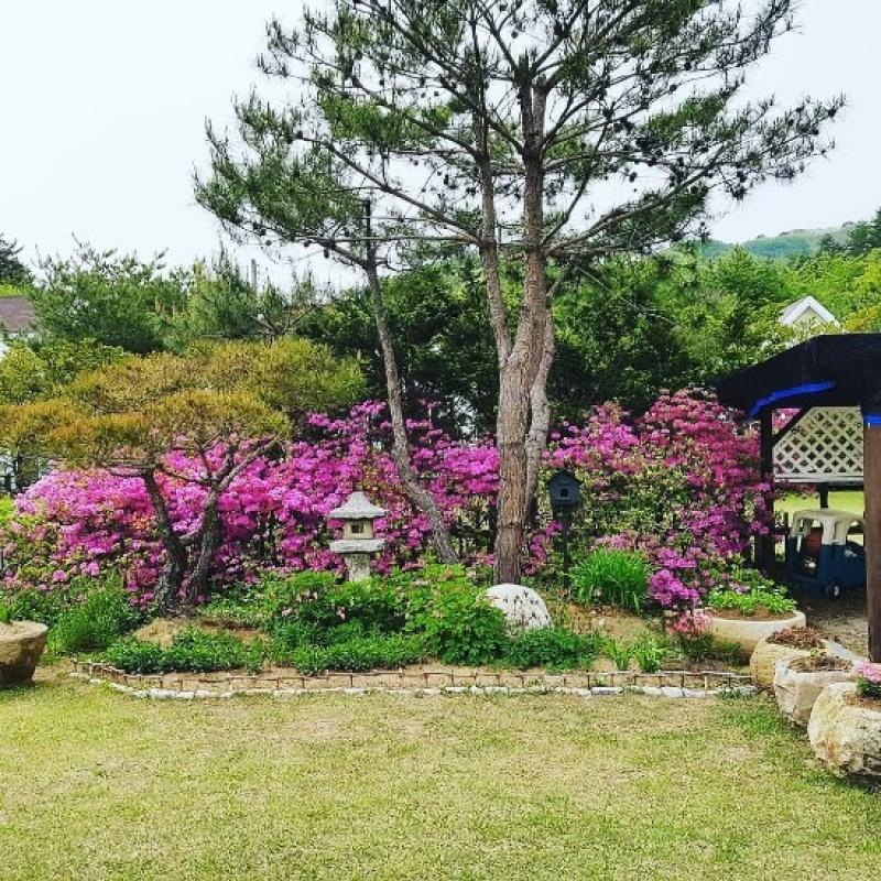 대표 사진