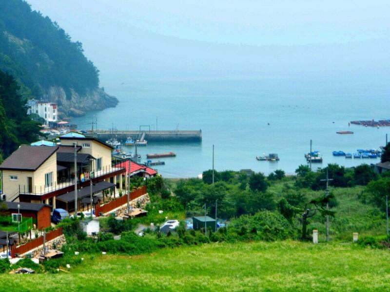 대표 사진