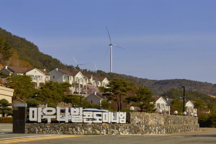 대표 사진