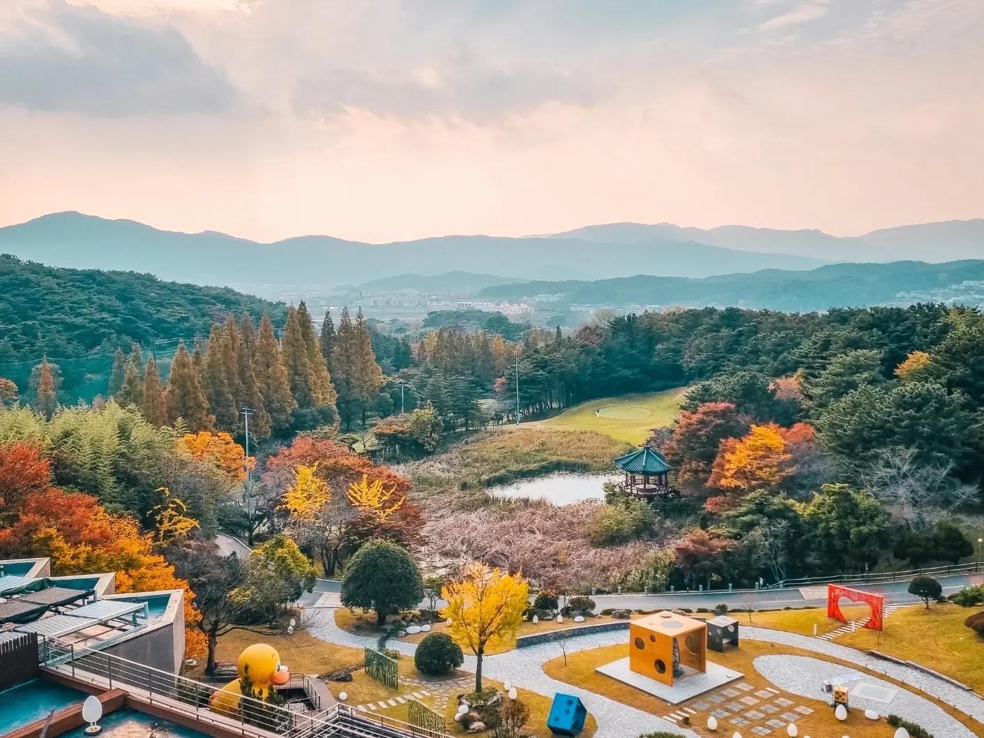 대표 사진